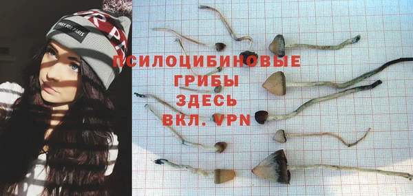 гидропоника Бугульма
