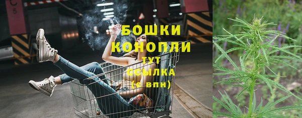 гидропоника Бугульма