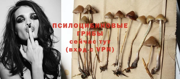 бутик Бородино