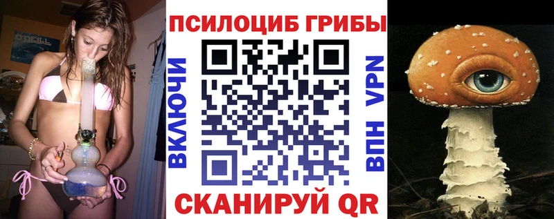 Галлюциногенные грибы Psilocybine cubensis Кондрово